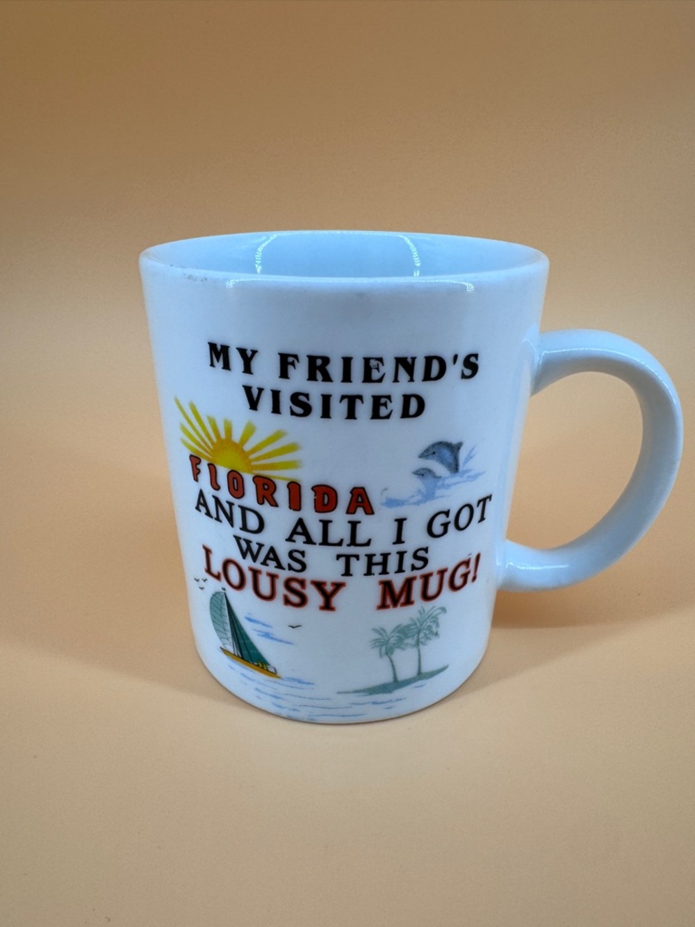 Florida My Friends Visited Florida and All I Got Was This Lousy Mug Coffee Cup